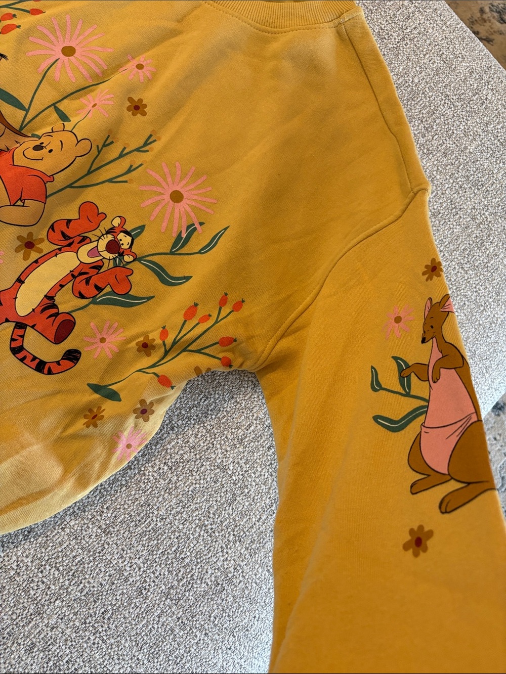 Winnie the Pooh Character Graphic Sweatshirt - Mustard Yellow - Picture 4 of 4